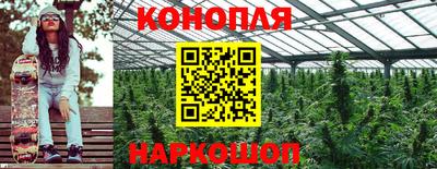 ALPHA-PVP Камышлов