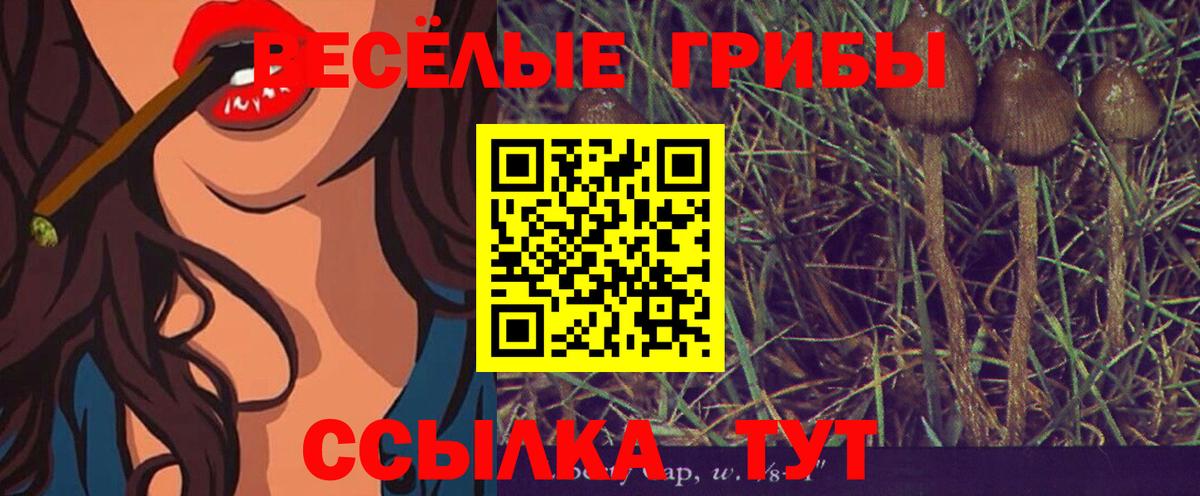 Галлюциногенные грибы MAGIC MUSHROOMS  Вход с VPN  Кудрово 