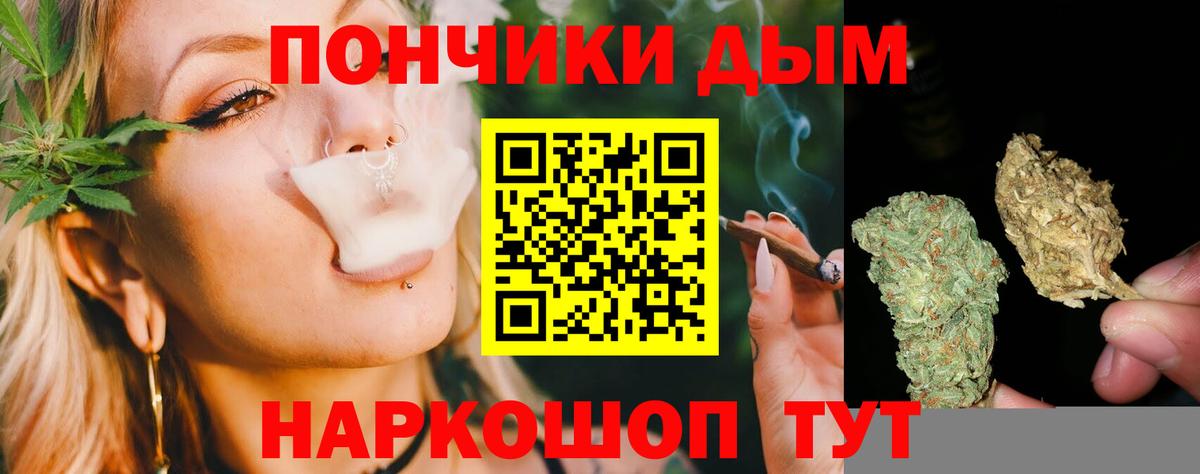 Бошки Шишки ГИДРОПОН  Канабис MAZAR  Каннабис индика  Кудрово  Шишки марихуана планчик  Вход с VPN 